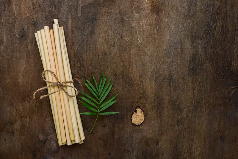 Canudos de bambu